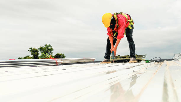 Best Roof Insulation Installation  in Richmond, MI
