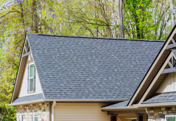 Best Roof Ventilation Installation  in Richmond, MI